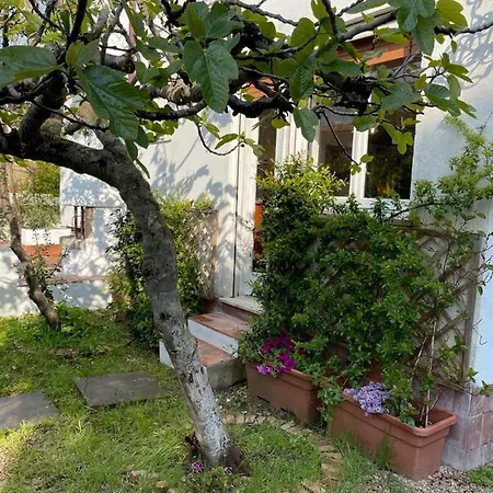 Villa Stella Marina Sul Mare *